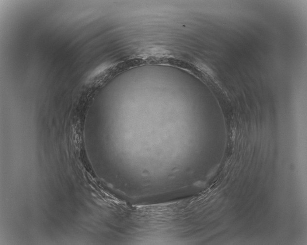 X0000057571063200509231219