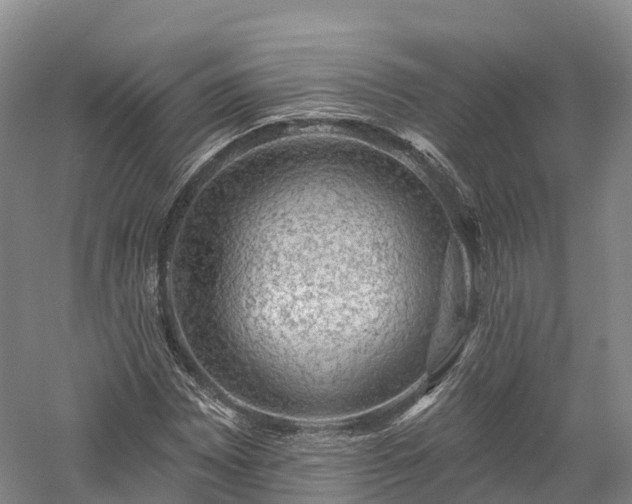X0000057571065200509231219