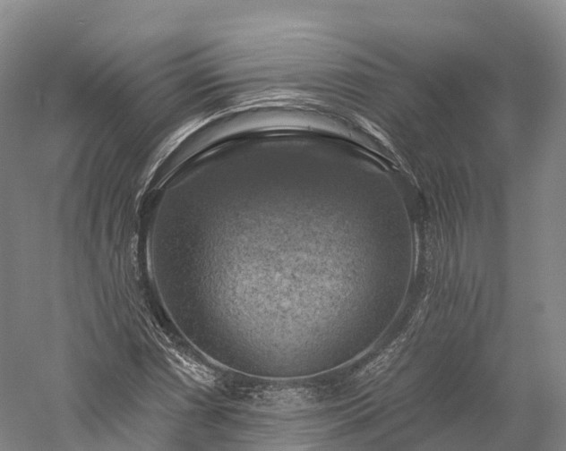 X0000057571066200509231219