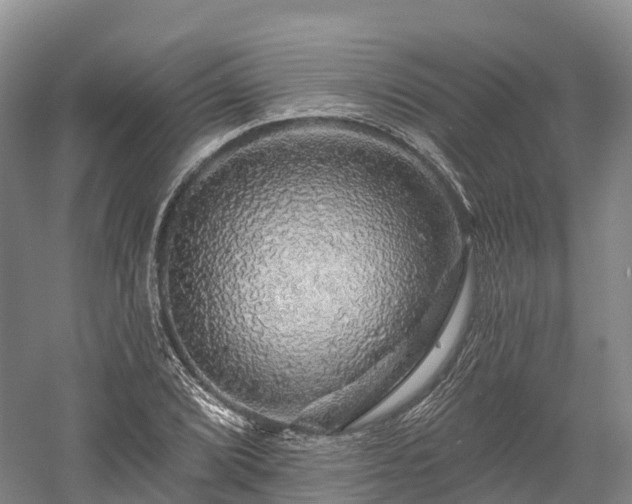 X0000057571072200509231219