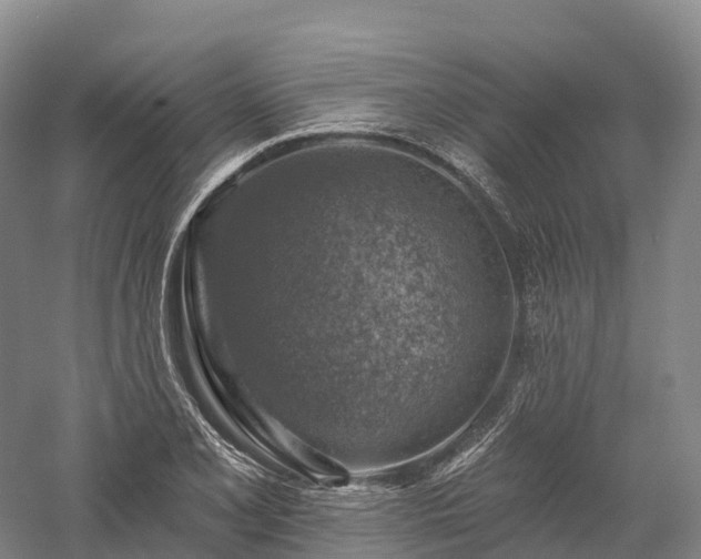 X0000057571077200509231219