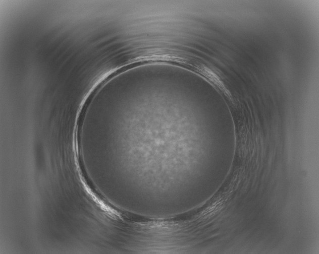 X0000057571084200509231219