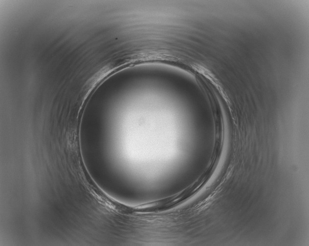 X0000057571089200509231219