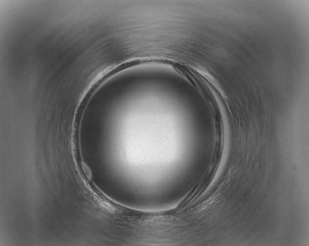 X0000057571093200509231219
