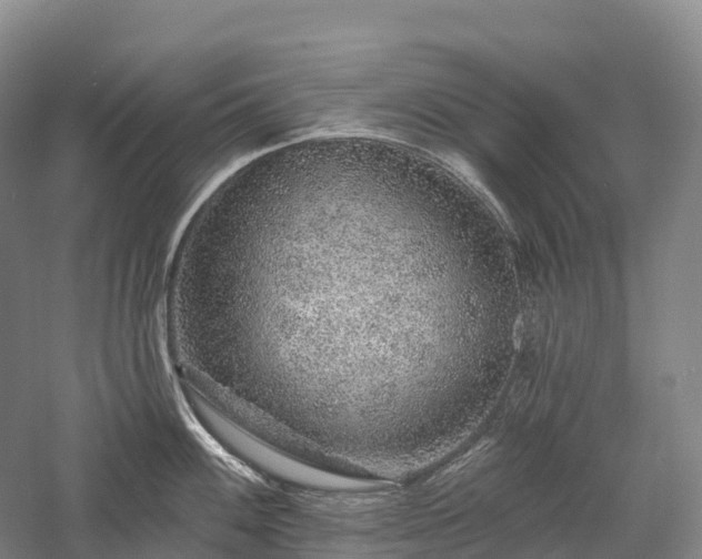 X0000057571100200509231219