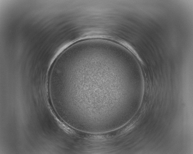 X0000057571101200509231219
