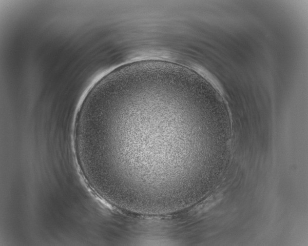 X0000057571104200509231219
