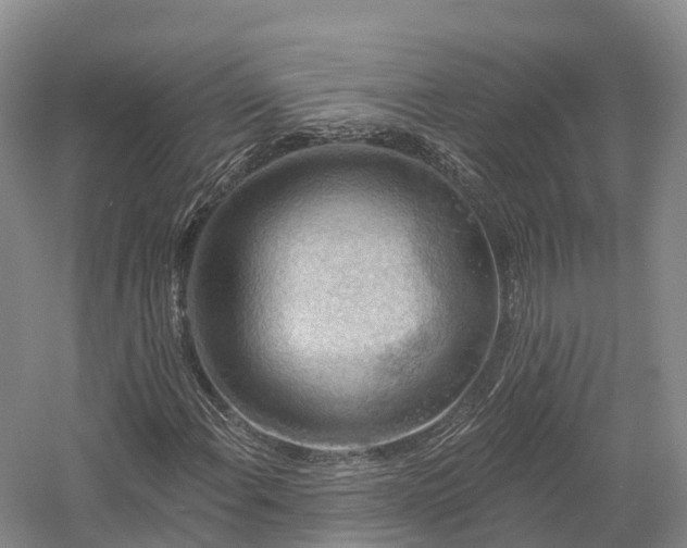 X0000057571108200509231218