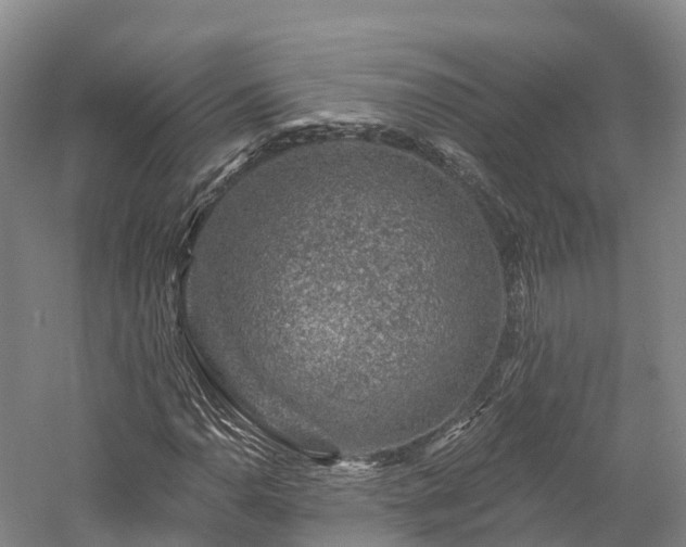 X0000057571110200509231218