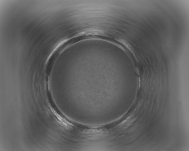 X0000057571115200509231218