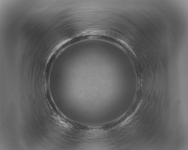 X0000057571117200509231218