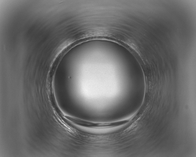 X0000057571119200509231218