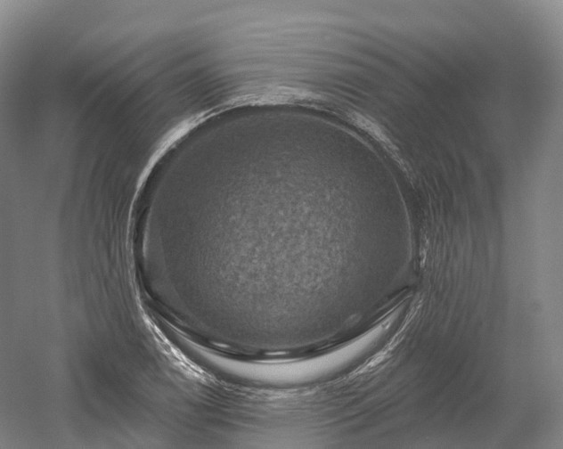 X0000057571122200509231218