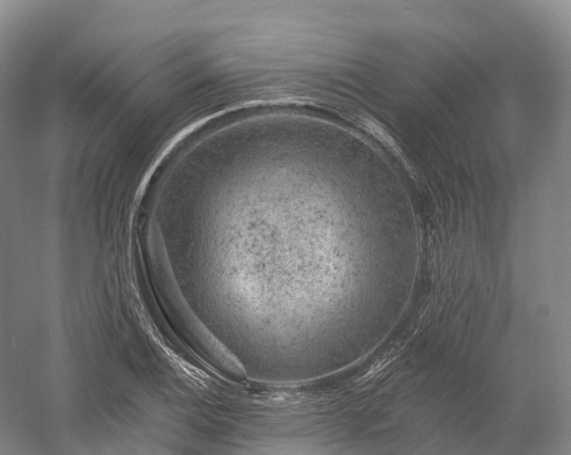 X0000057571124200509231218