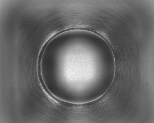 X0000057571135200509231218