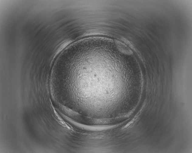 X0000057571137200509231218