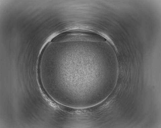 X0000057571138200509231218