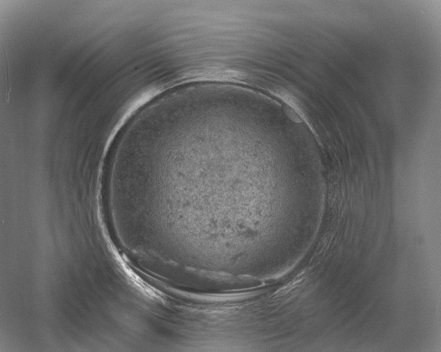 X0000057571139200509231219