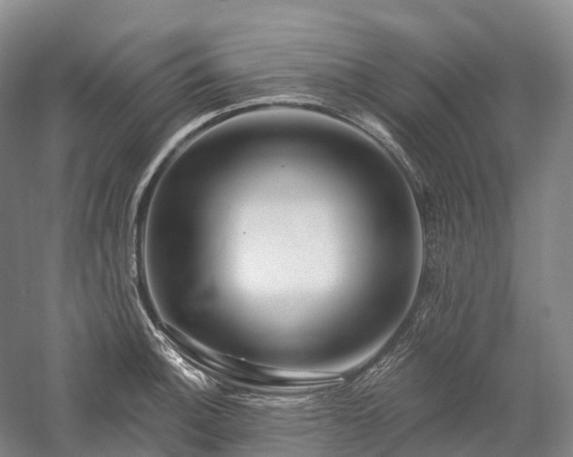 X0000057571140200509231219