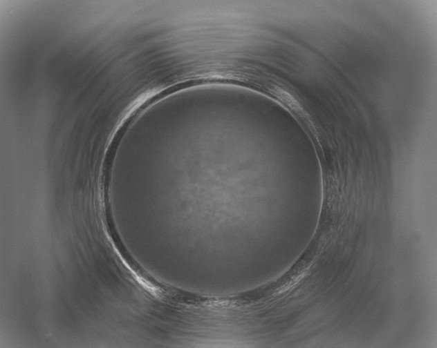 X0000057571141200509231219