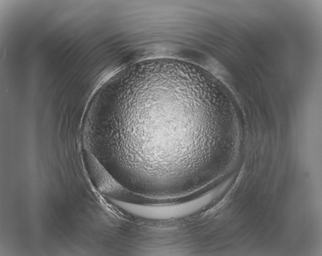 X0000057571145200509231219