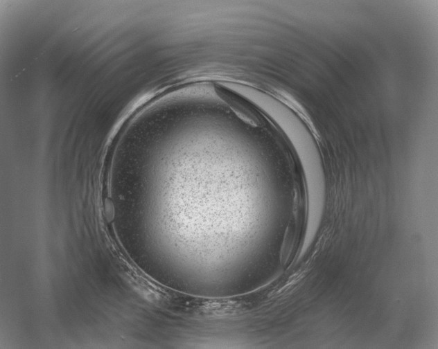 X0000057571146200509231219