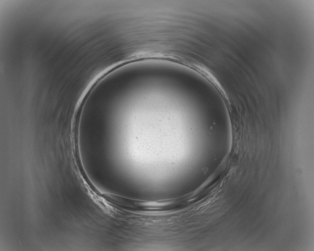 X0000057571148200509231219