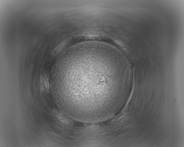 X0000057571155200509231218