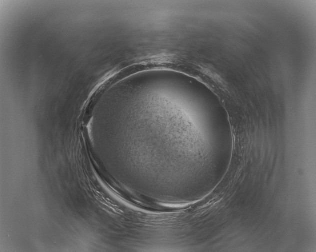 X0000057571160200509231218
