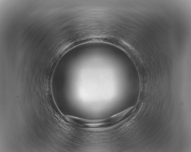 X0000057571169200509231218