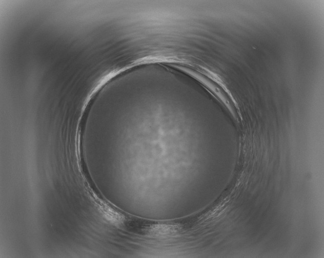 X0000057571179200509231217
