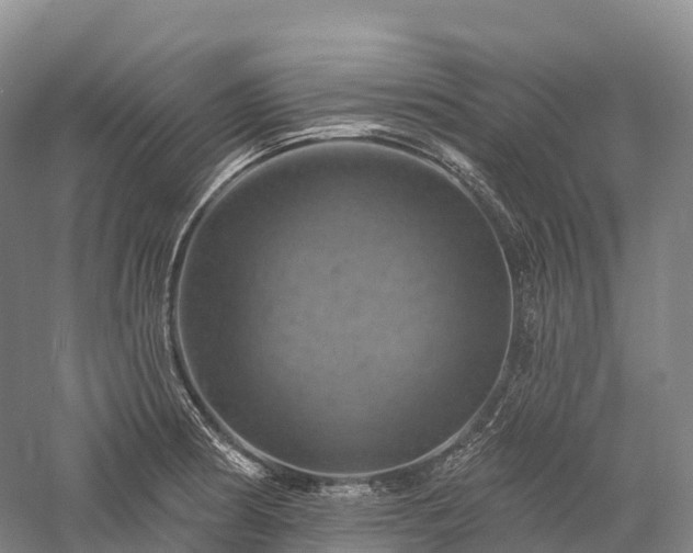 X0000057571186200509231217