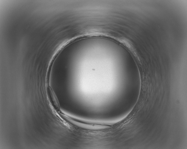 X0000057571191200509231217