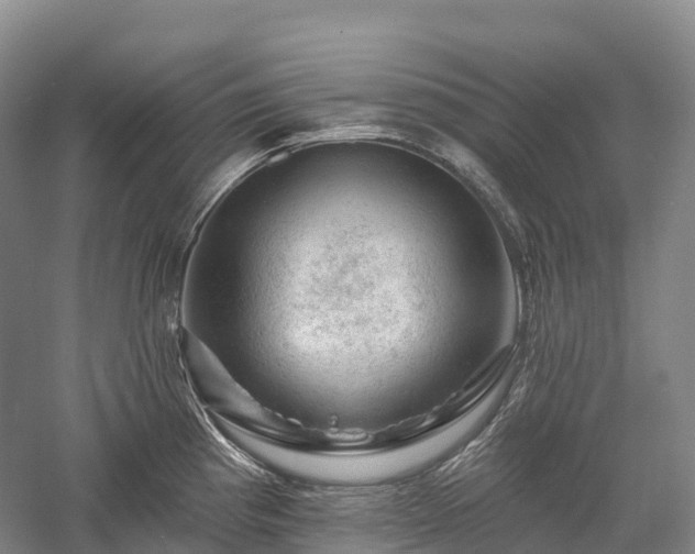 X0000057571193200509231217