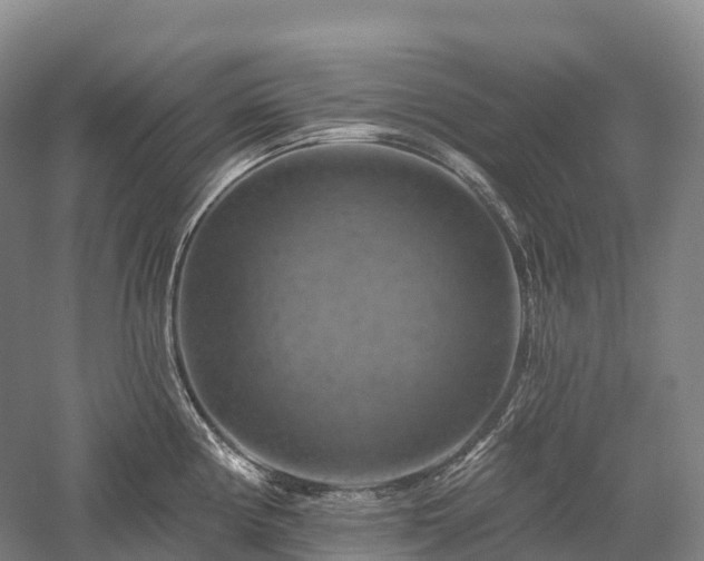 X0000057571194200509231217
