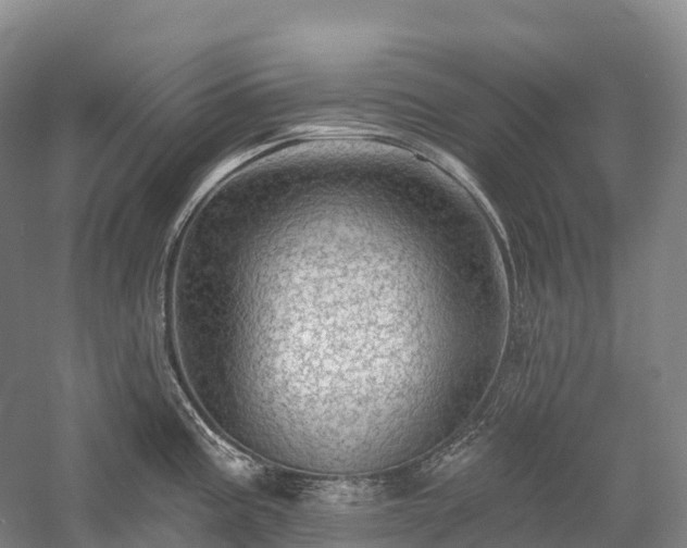 X0000057571195200509231217
