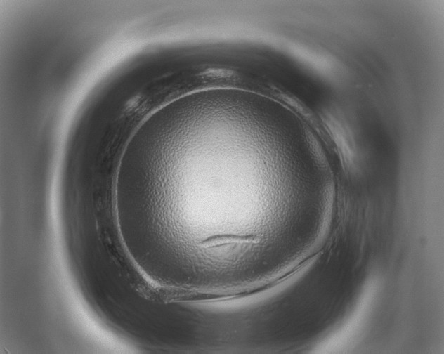 X0000057571199200509231217