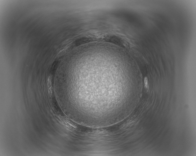 X0000057571203200509231216