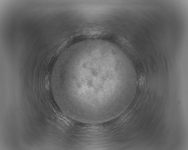 X0000057571204200509231216