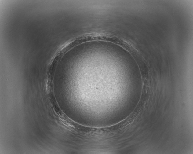 X0000057571207200509231216