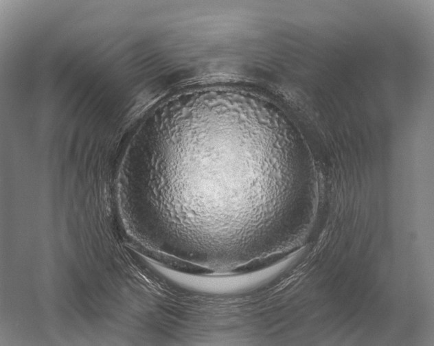 X0000057571217200509231217