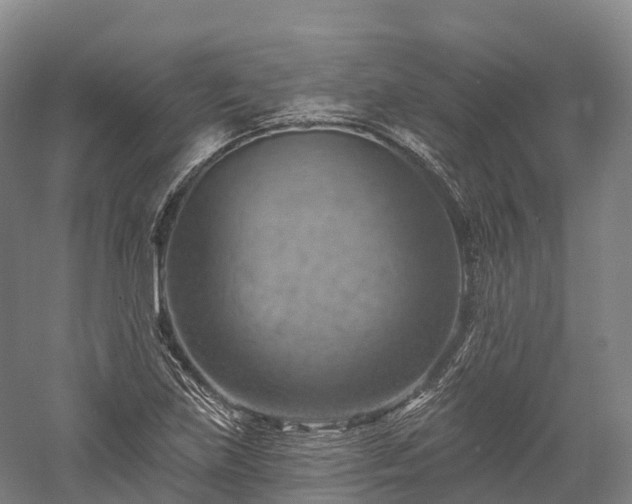 X0000057571219200509231217