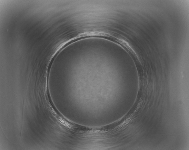 X0000057571228200509231217