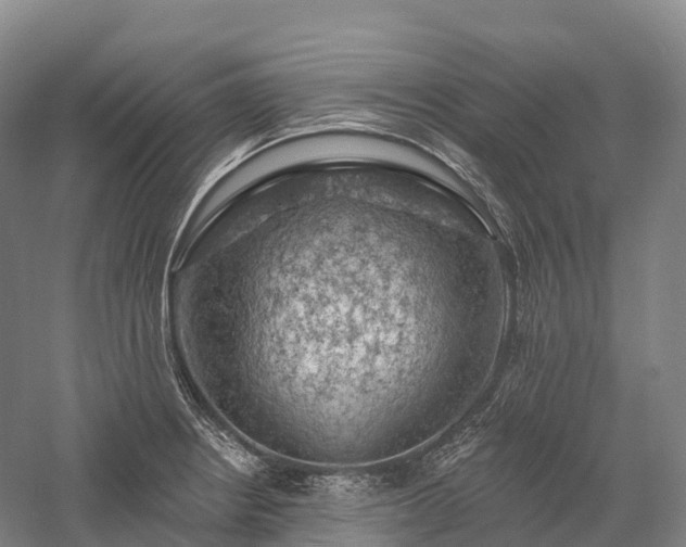 X0000057571234200509231217