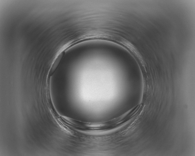 X0000057571242200509231217