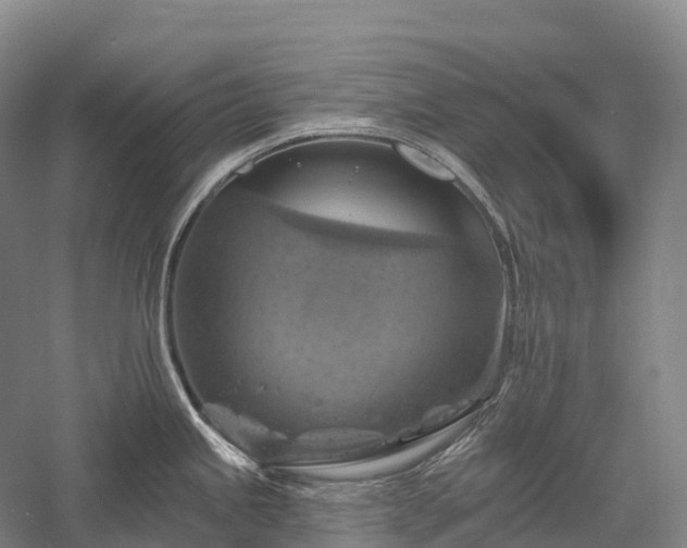 X0000057571245200509231217