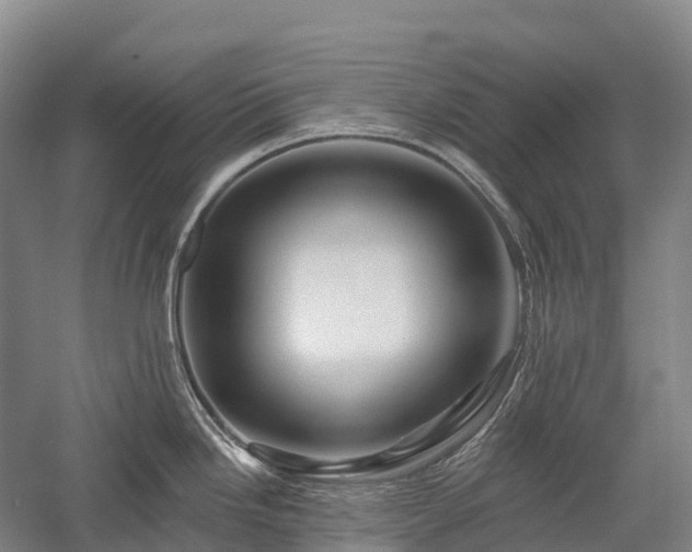 X0000057571246200509231217