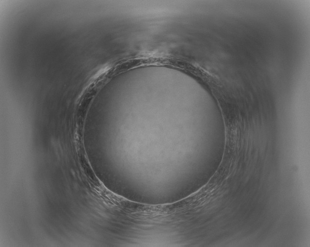 X0000057571254200509231216