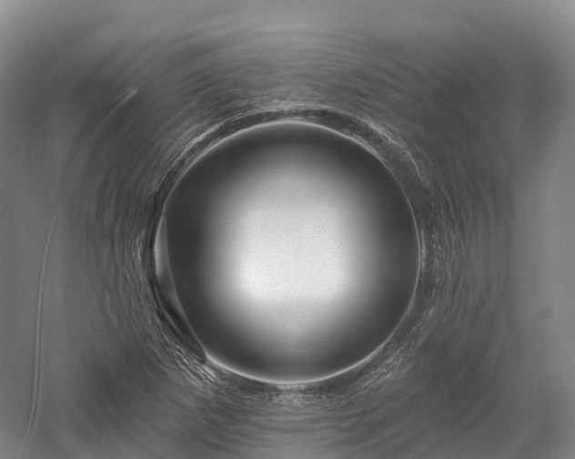 X0000057571265200509231216