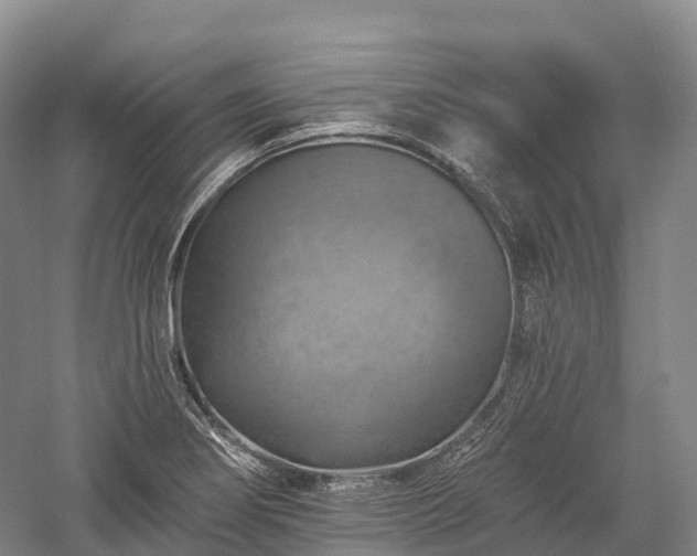 X0000057571274200509231216